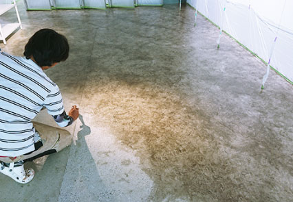 コンクリート床研磨 事例2